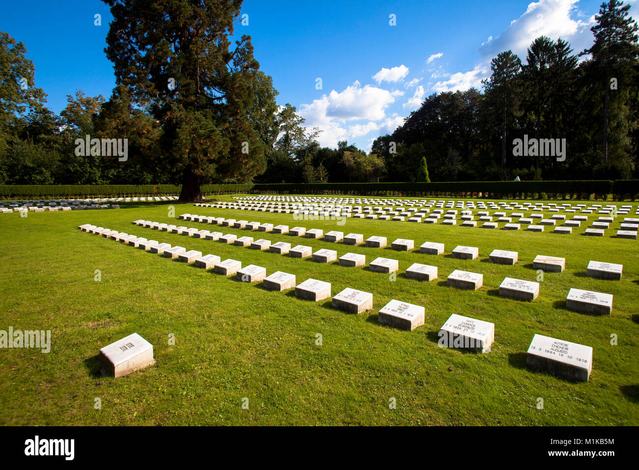 Germany, Cologne, the Italian cemetery of honor within Cologne Southern Cemetery in the district Zollstock, Italian prisoner of World War I are buried Stock Photo