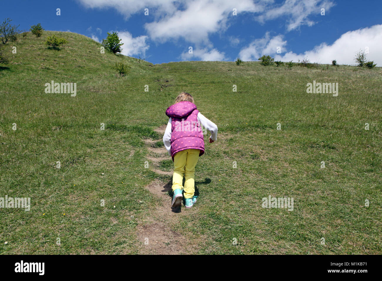 A colourful child runs up Cley Hill in Wiltshire UK. The hill near Longleat is a popular family walk. Stock Photo