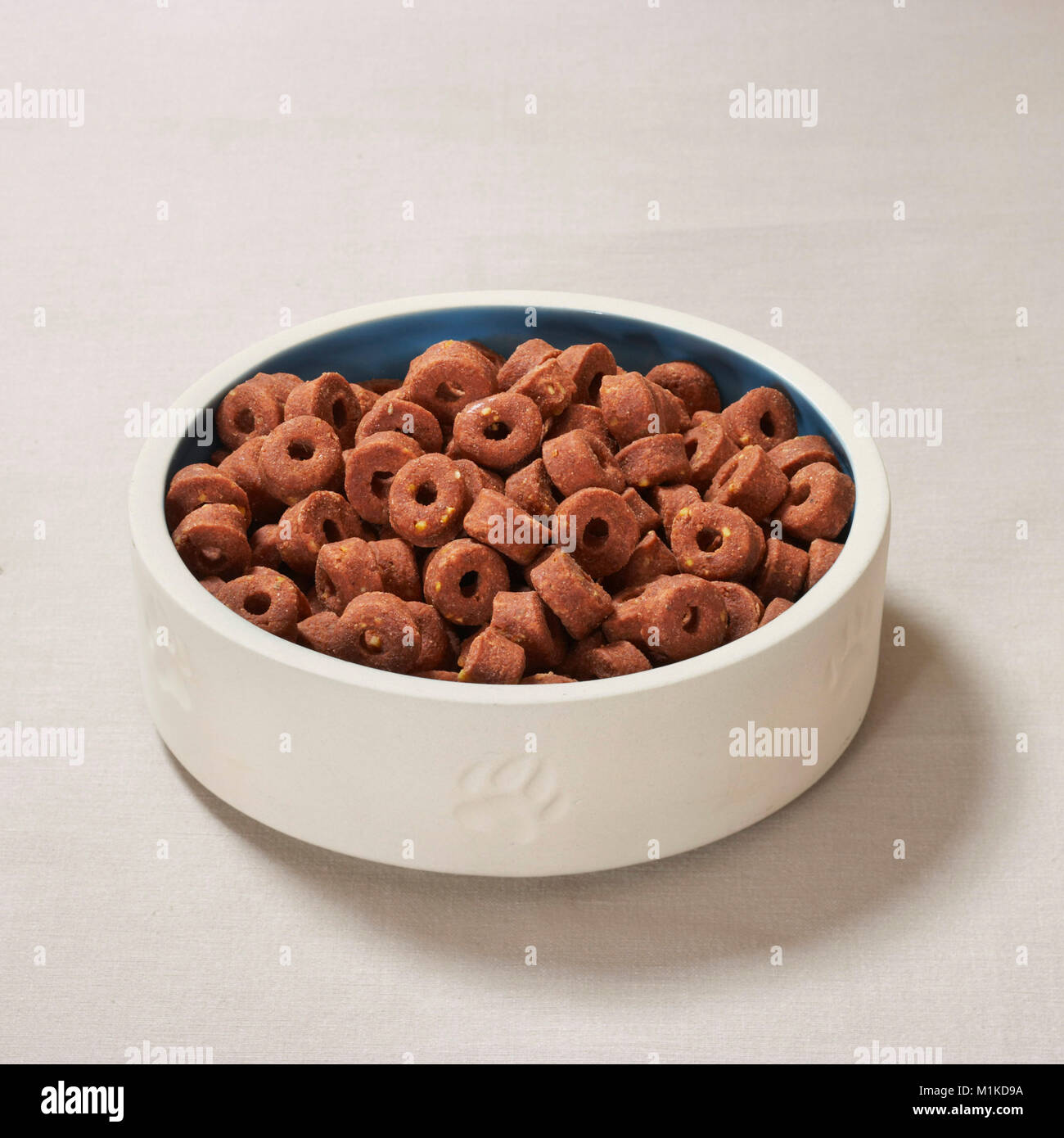 Domestic dog. Food bowl filled with semi-moist feed seen against a white background Germany Stock Photo