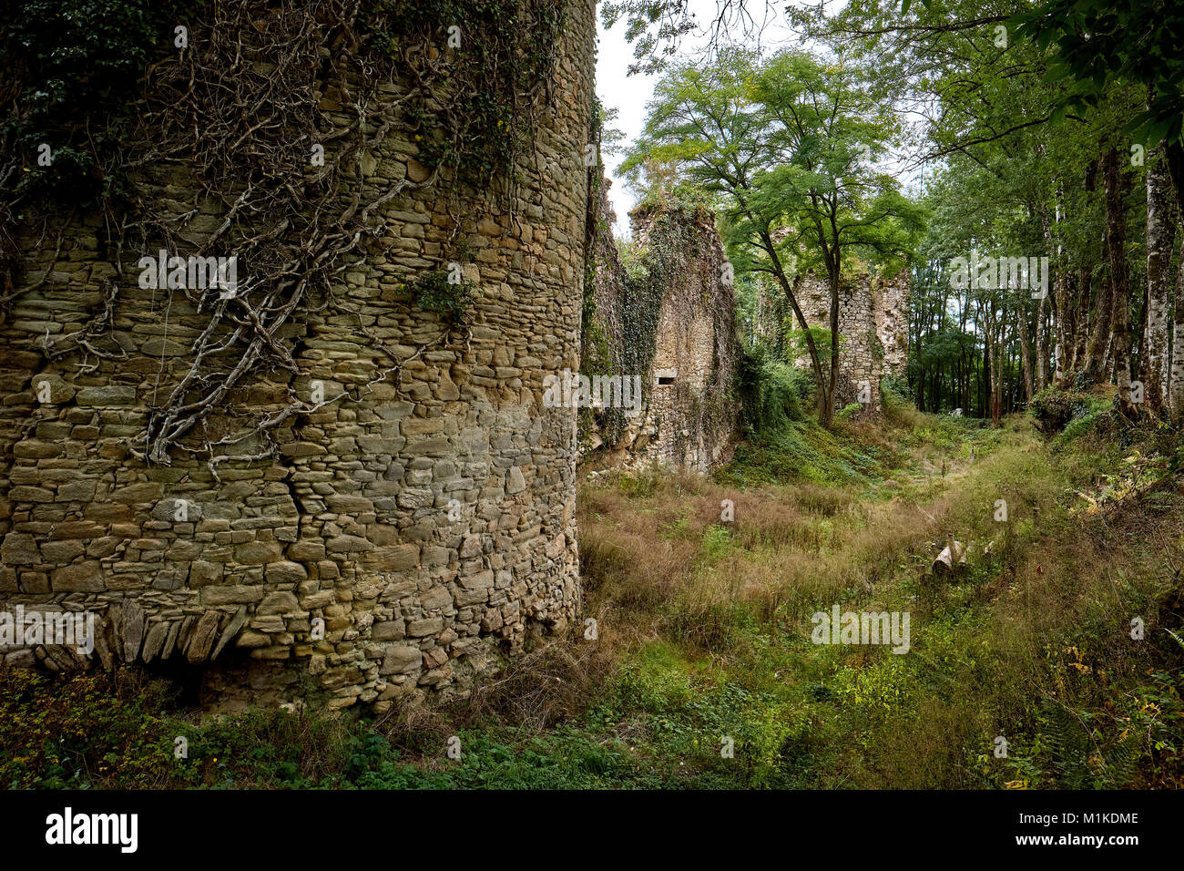 Overgrown Chateau ruins near Nontron France Stock Photo