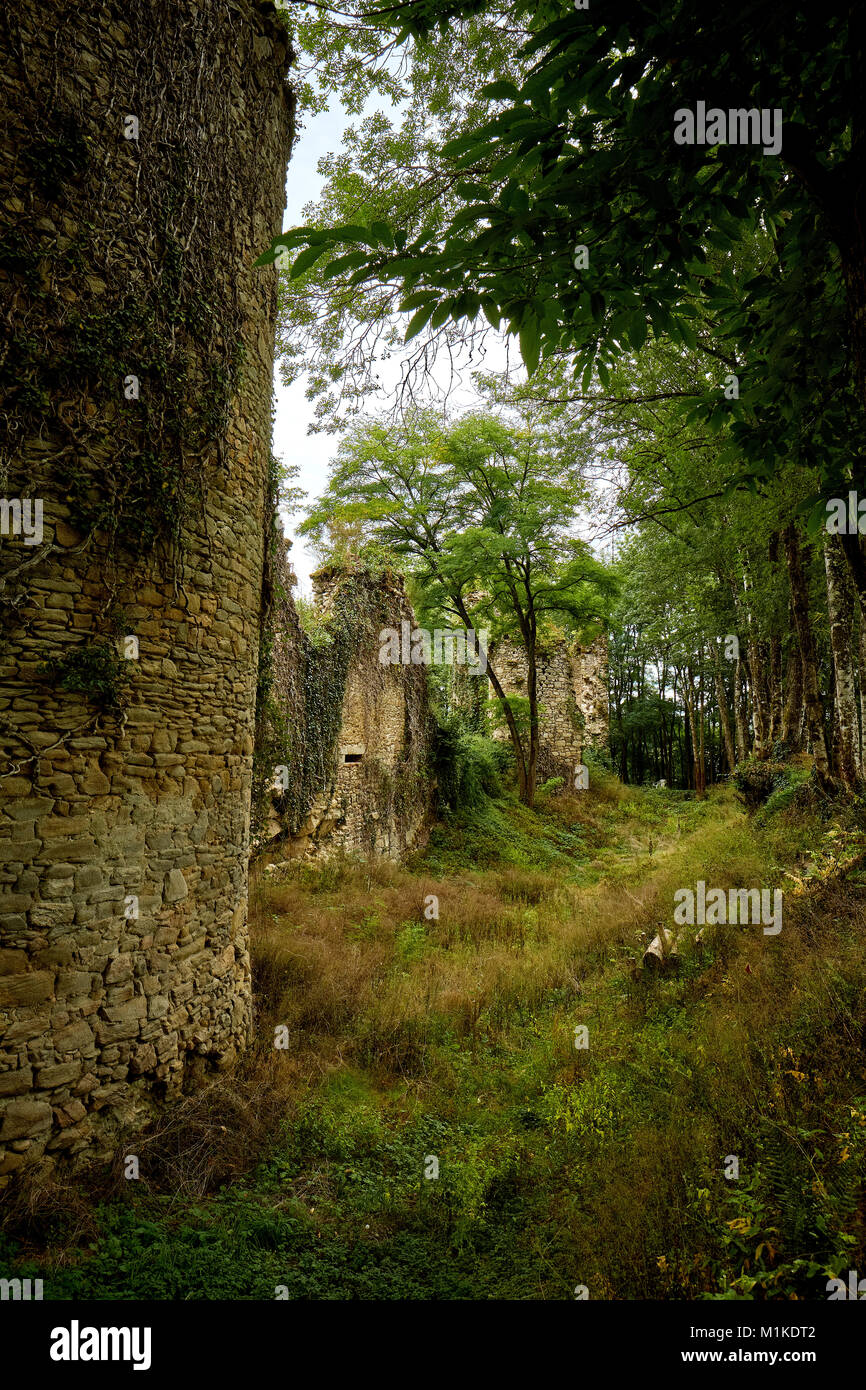 Overgrown Chateau ruins near Nontron France Stock Photo