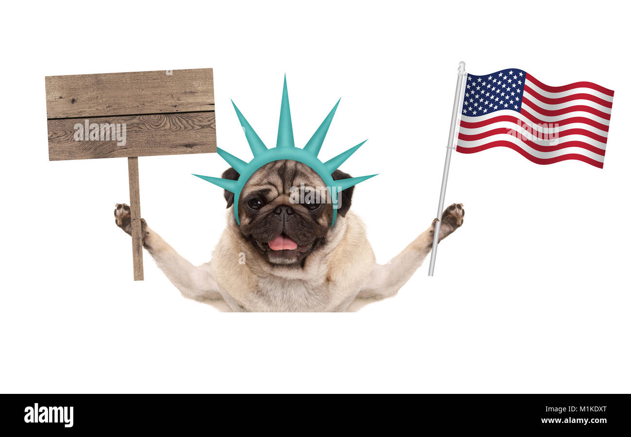 smiling pug puppy dog holding up American flag and blank wooden sign, wearing lady Liberty crown, isolated on white background Stock Photo