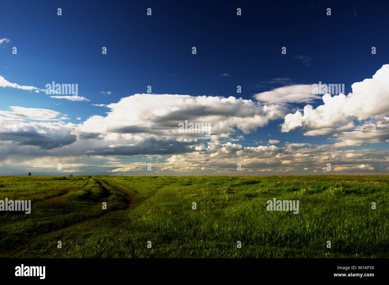 June 24th, 2011; Nose Hill Park, Calgary, Alberta, Canada. Park in the north part of the city. Stock Photo
