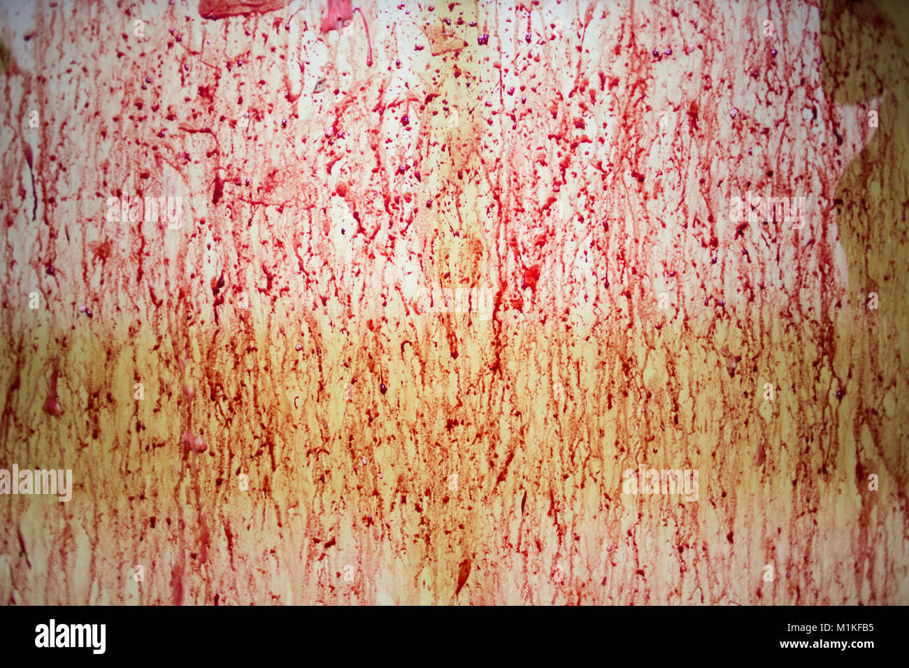 Close up image of blood spatter against a wall in a slaughter house