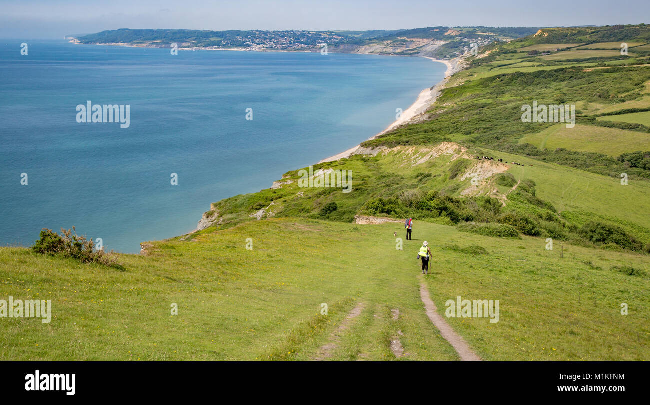 Walkers descending from Golden Cap the highest point on the southern section of the South West coast path towards Lyme Regis and Beer Head Dorset UK Stock Photo