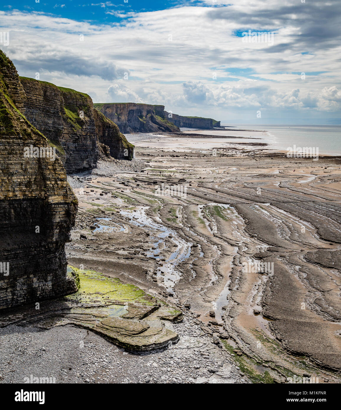 Wave cut pavement of Jurassic lias limestone at low tide near Nash Point on the Glamorgan Heritage Coast of South Wales UK Stock Photo