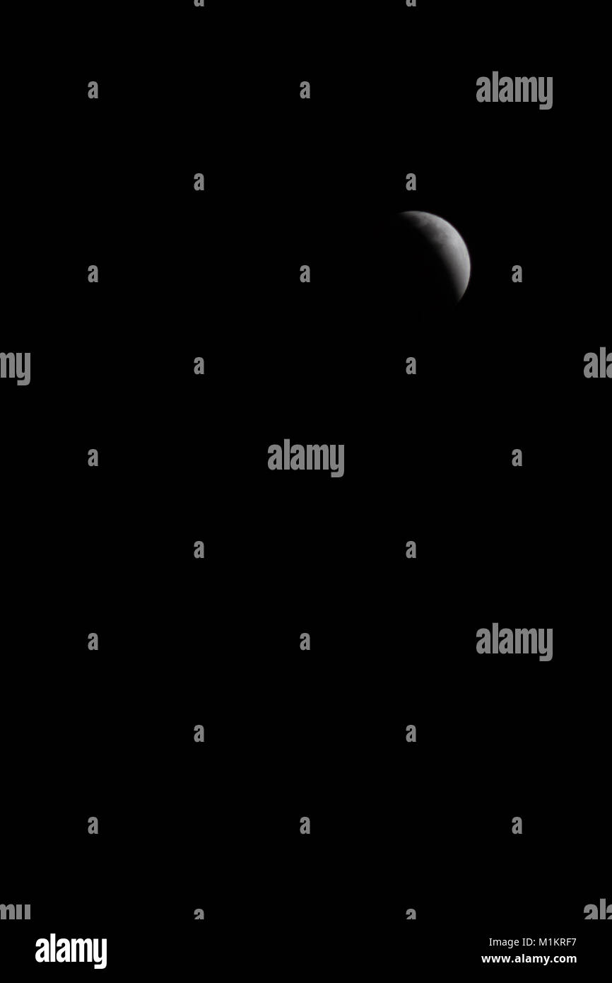 Venus | Ben Backyard Astronomy, image size:866x1390