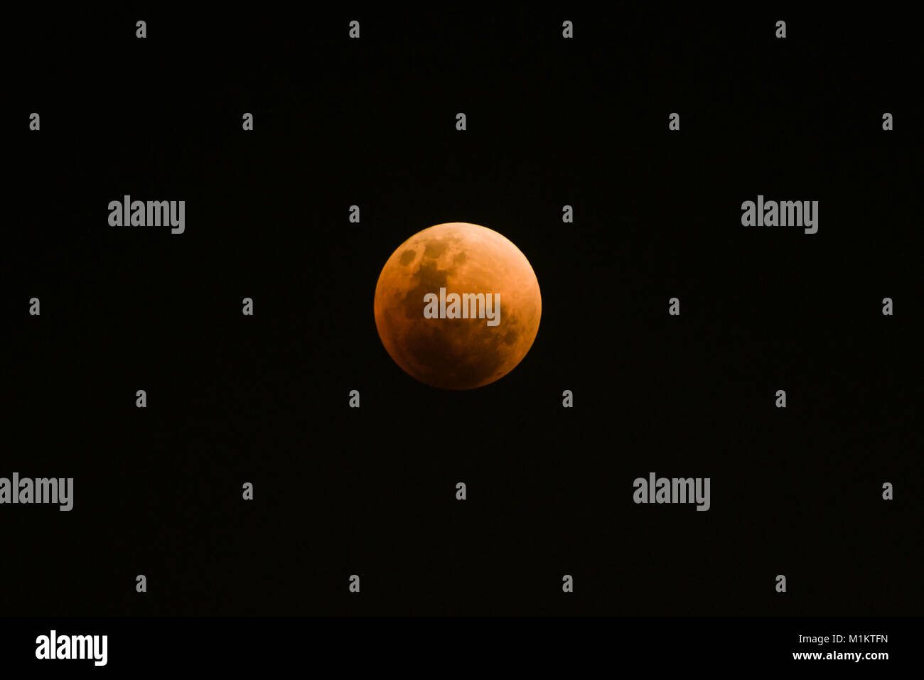 Singapore, Singapore, Jan 31 2018: A rare 