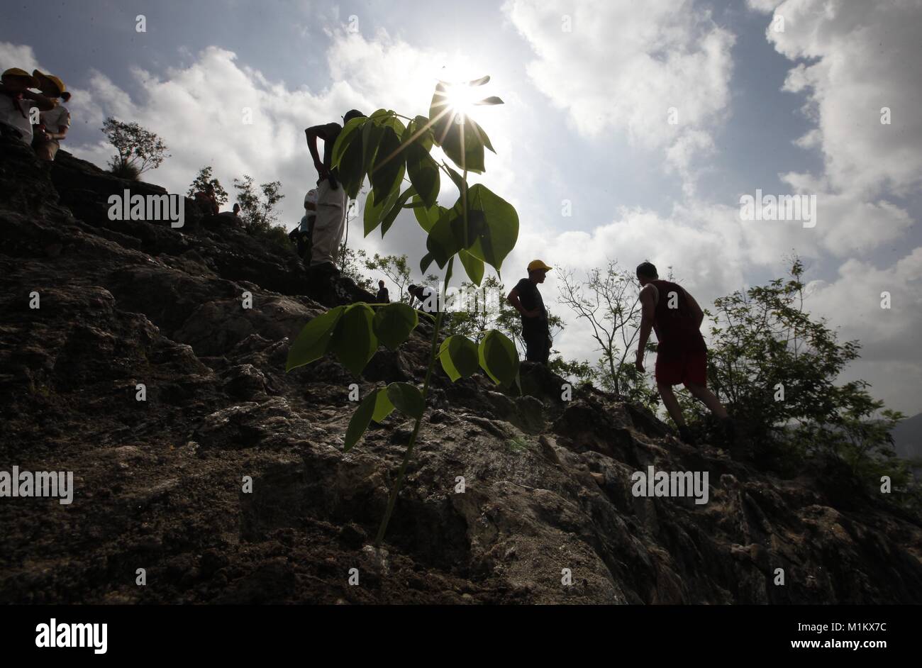 May 27, 2012 - Valencia, Carabobo, Venezuela - June 04, 2012. Volunteer groups participate in a reforestation campaign on the Casupo hill, carried out on May 27, with trees sprouted in the Fernando Pe''“alver park nursery. Fernando Pe''“alver Park, founded in 1983, has 22 hectares for environmental recreation that promote the relationship between man and nature, is crossed by the river Cabriales, there are diverse ecosystems, and there is a great variety of flora and fauna species. The park depends on the state government of Carabobo, which minimizes maintenance costs through a nursery, as a s Stock Photo