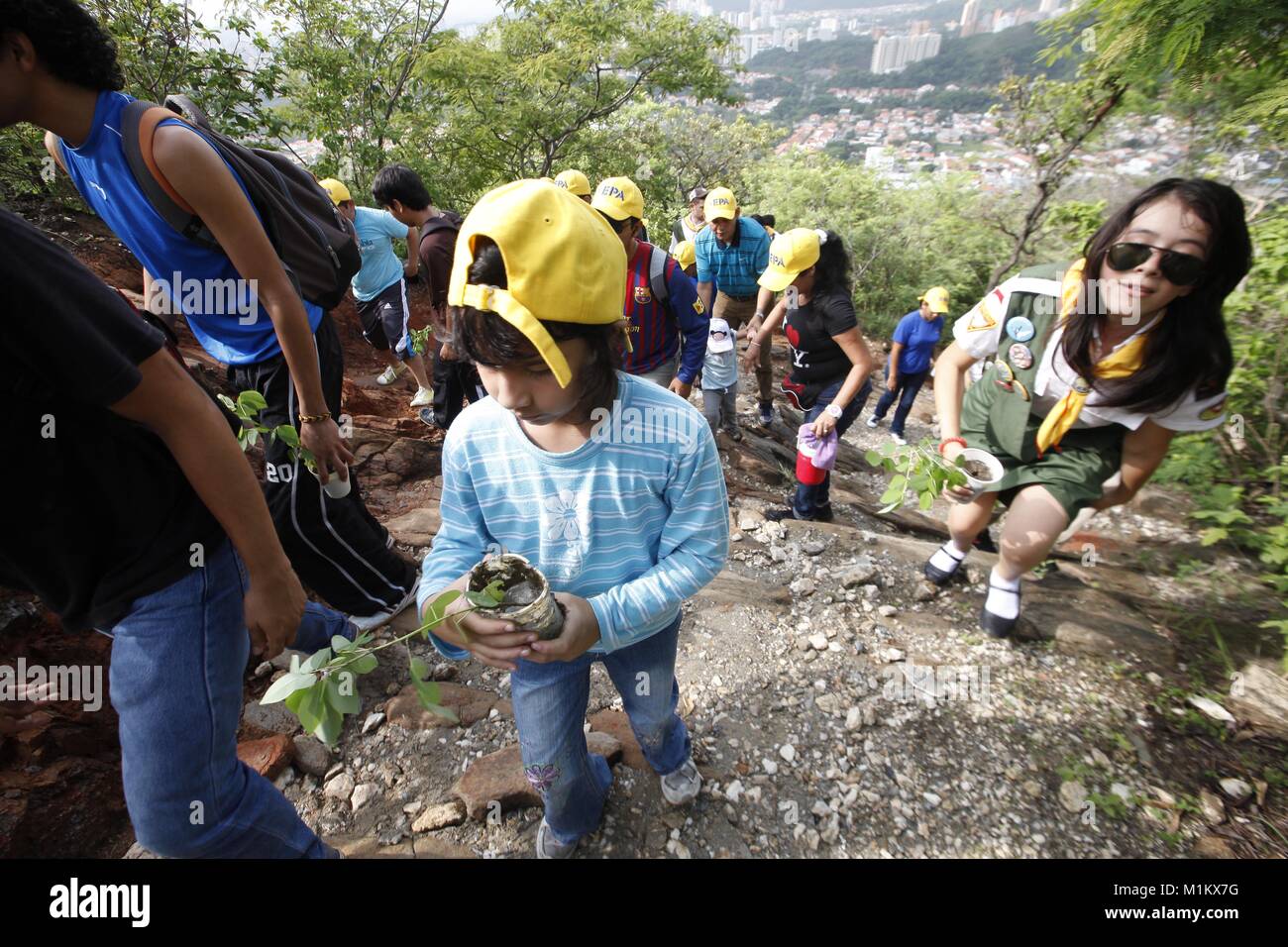 May 27, 2012 - Valencia, Carabobo, Venezuela - June 04, 2012. A child participates with his mother in a reforestation campaign of the Casupo hill with trees sprouted in the nursery. Fernando Pe''“alver Park, founded in 1983, has 22 hectares for environmental recreation that promote the relationship between man and nature, is crossed by the river Cabriales, there are diverse ecosystems, and there is a great variety of flora and fauna species. The park depends on the state government of Carabobo, which minimizes maintenance costs through a nursery, as a sustainable development project in harmony Stock Photo