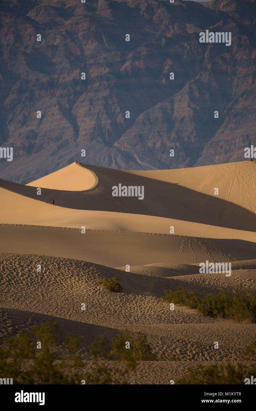 Death Valley, California, USA. 12th Mar, 2016. The Mesquite Flat Sand ...