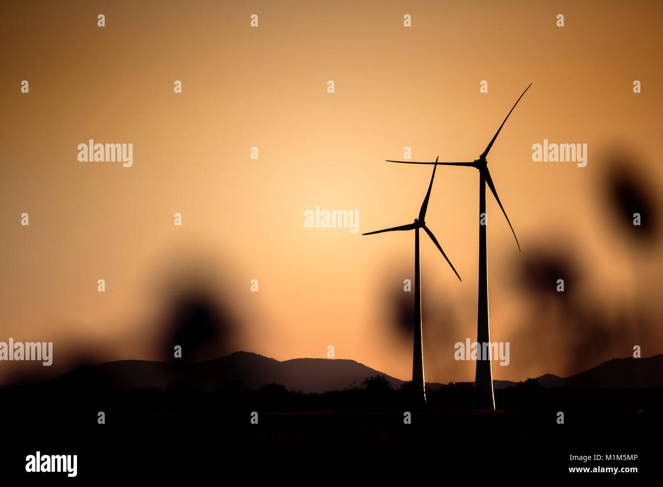 Wind Power Stations in Rhineland Palatinate germany in the Summer Evening Sun Stock Photo