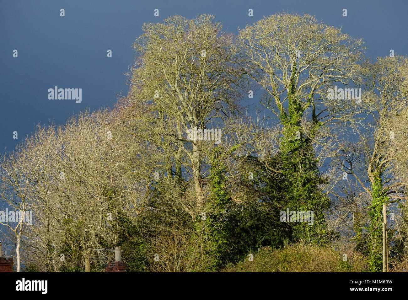 Strong light hi-res stock photography and images - Alamy