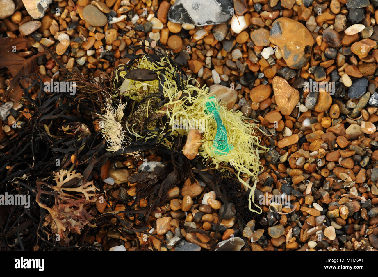 plastics mixed up with seaweed, Stock Photo
