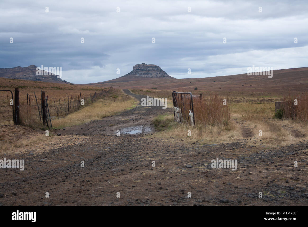 open gate eastern free state south africa Stock Photo Alamy