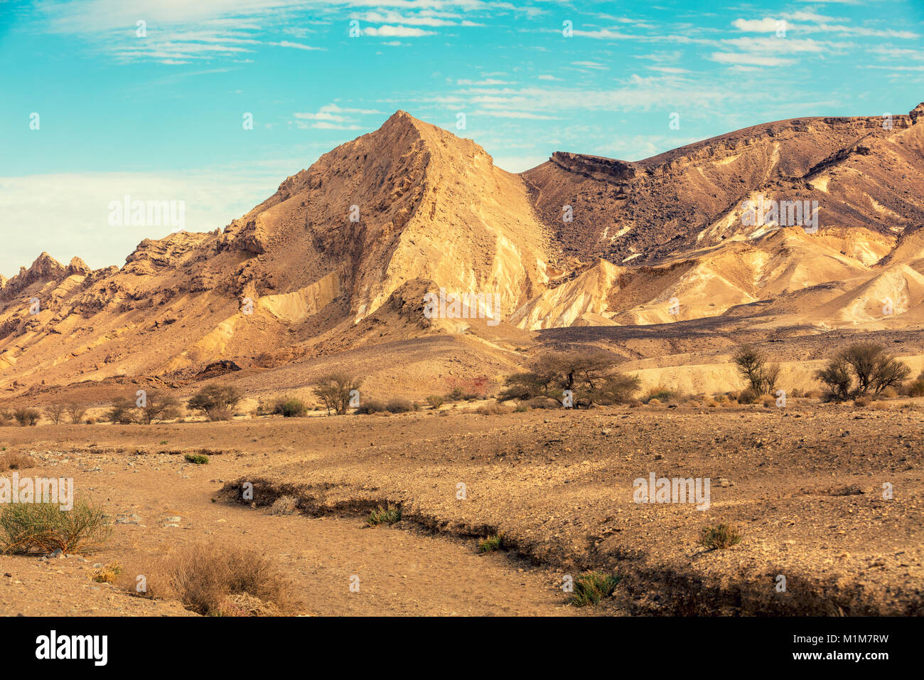 Negev mountains hi-res stock photography and images - Alamy