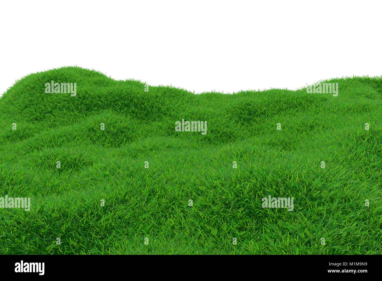 Green grass growing on hills with white background top view. 3d ...