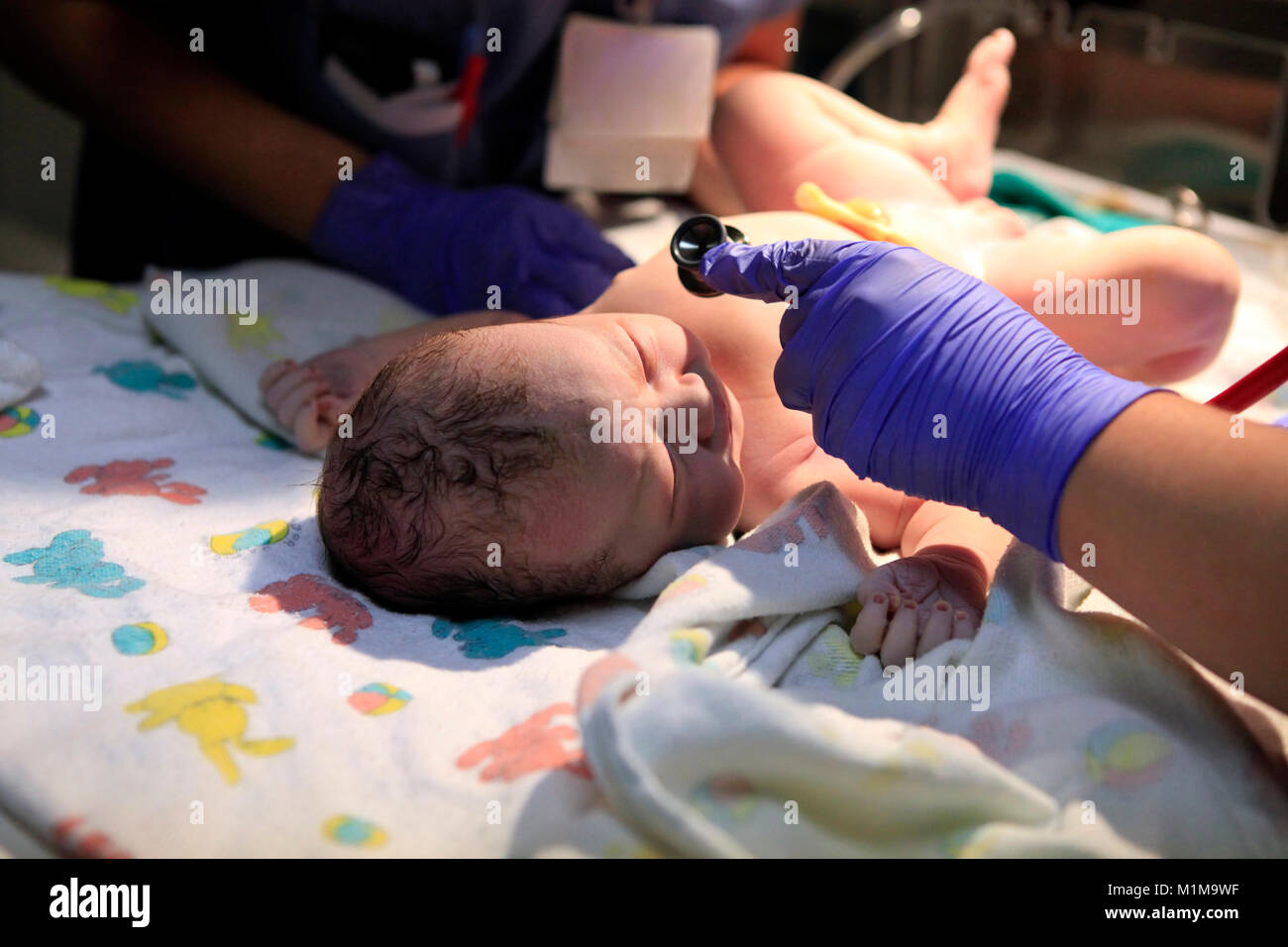 The first minutes of life of the newborn girl Stock Photo - Alamy