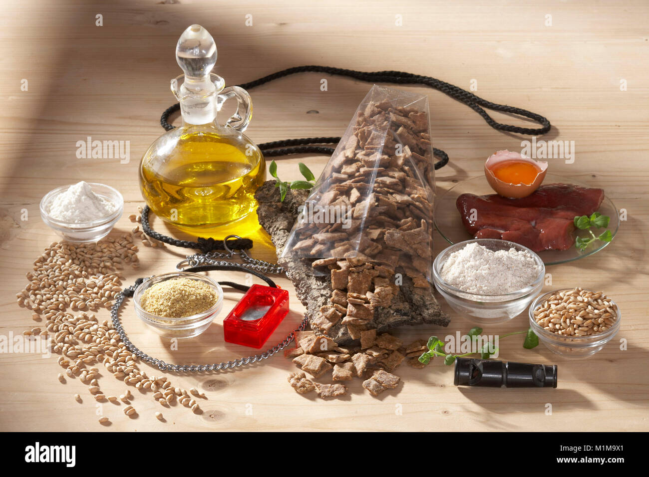 Domestic dog. Ingredients for biscuits as rewards for dogs and freshly baked biscuits. Germany Stock Photo