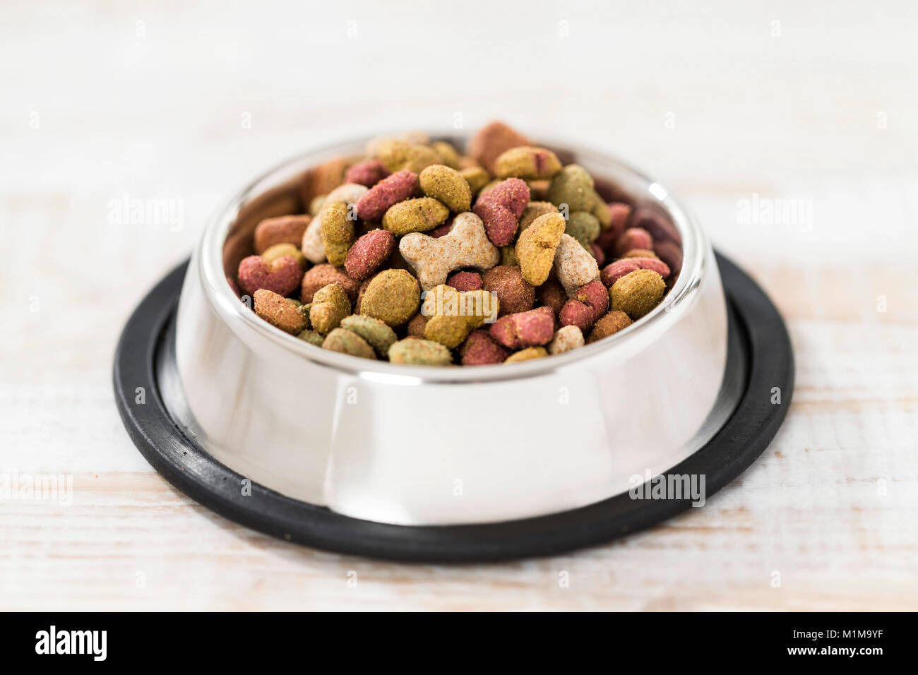 Domestic dog. Food bowl filled with dry complete feed on parquet. Germany. Stock Photo