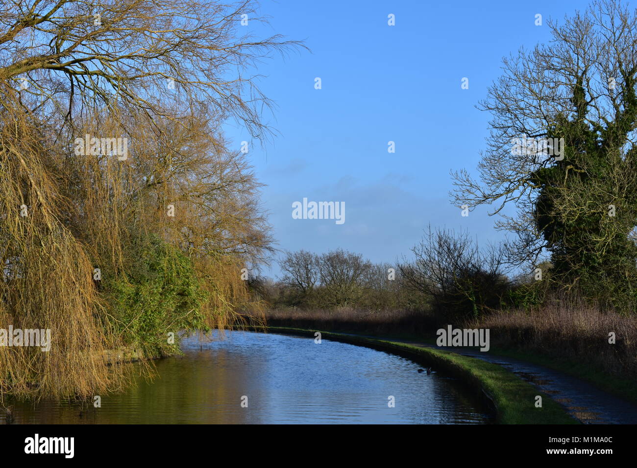 Lancaster canal scene on a sunny winters day Stock Photo