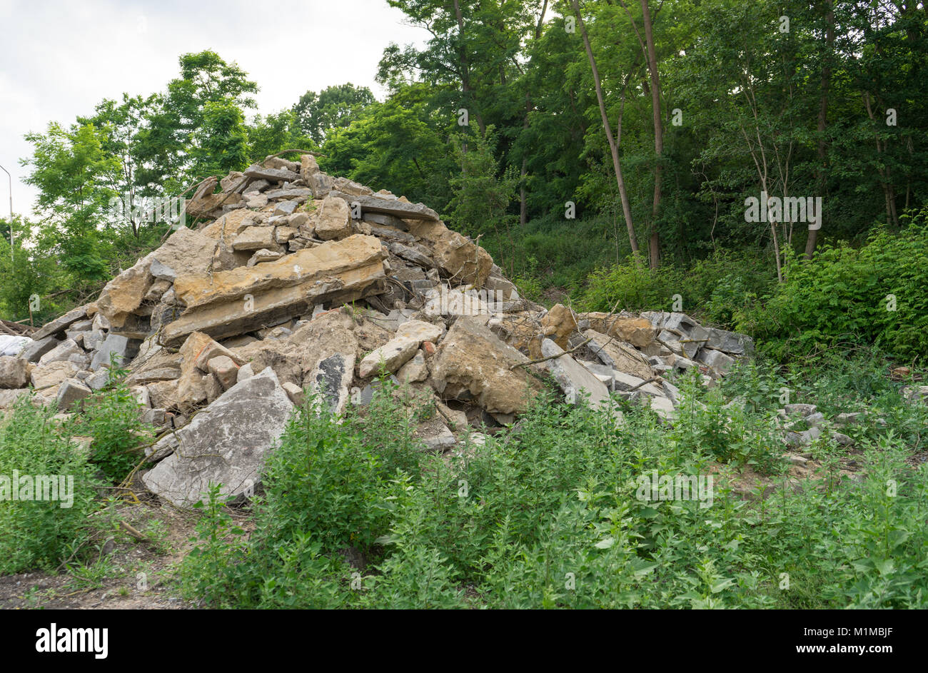 rubble heap at the forest Stock Photo Alamy