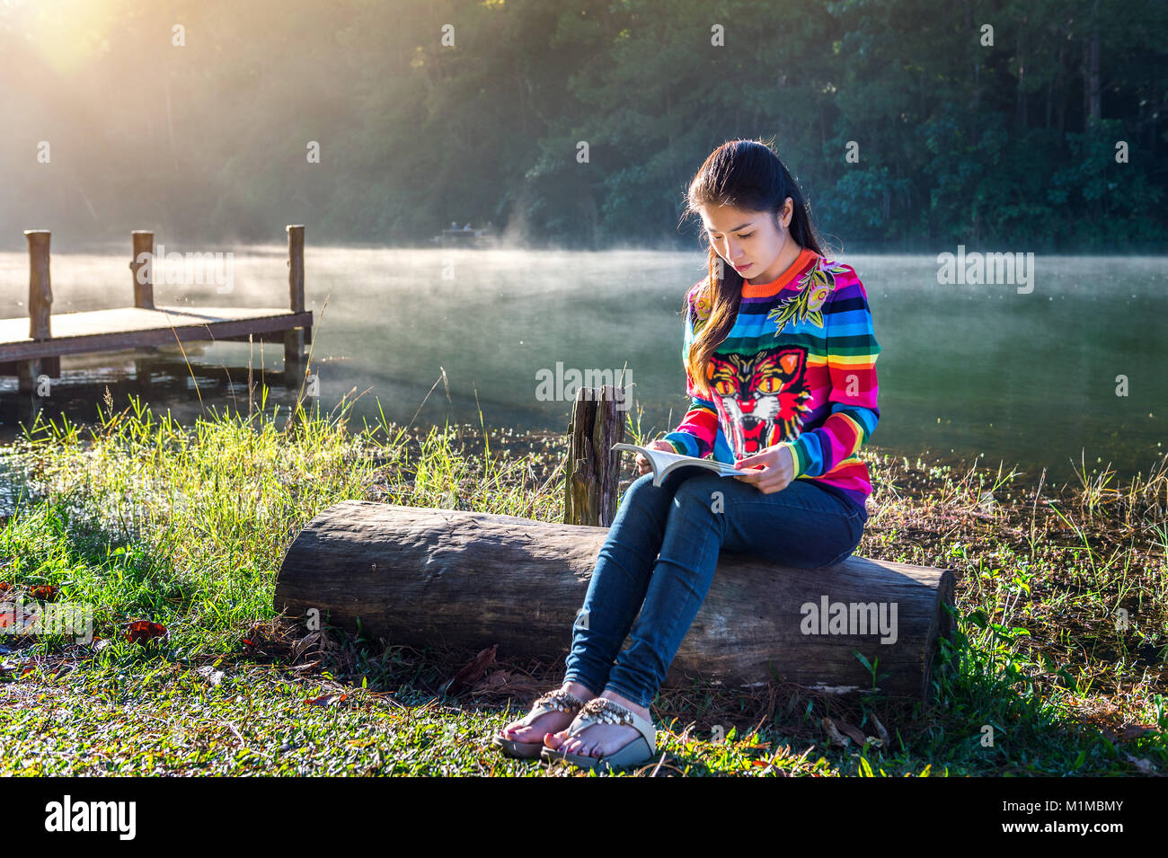 Young girl reading a book in the park Stock Photo - Alamy
