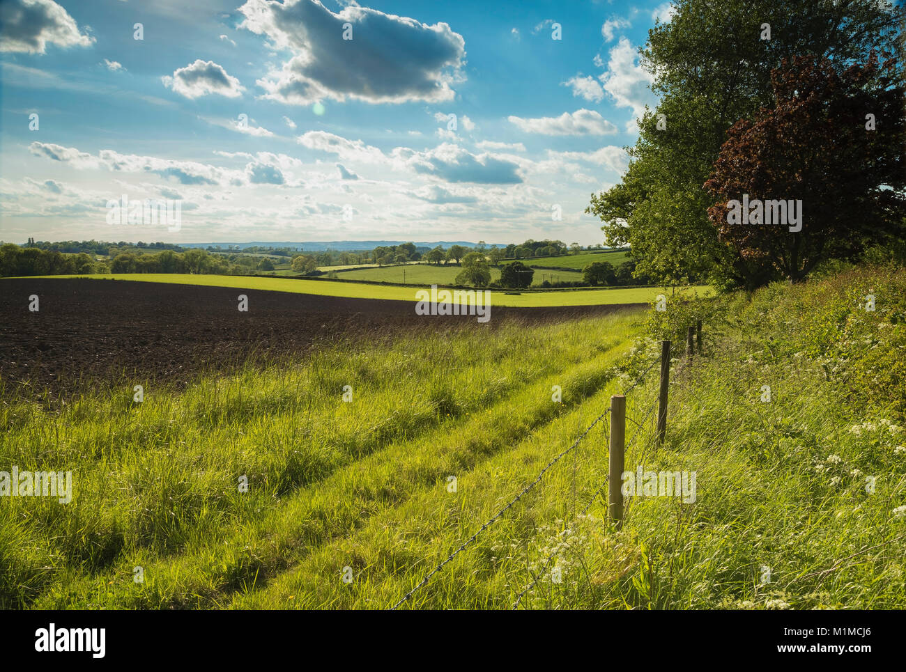 An image of Leicestershire countryside shot in late spring near to Hungarton, England UK. Stock Photo