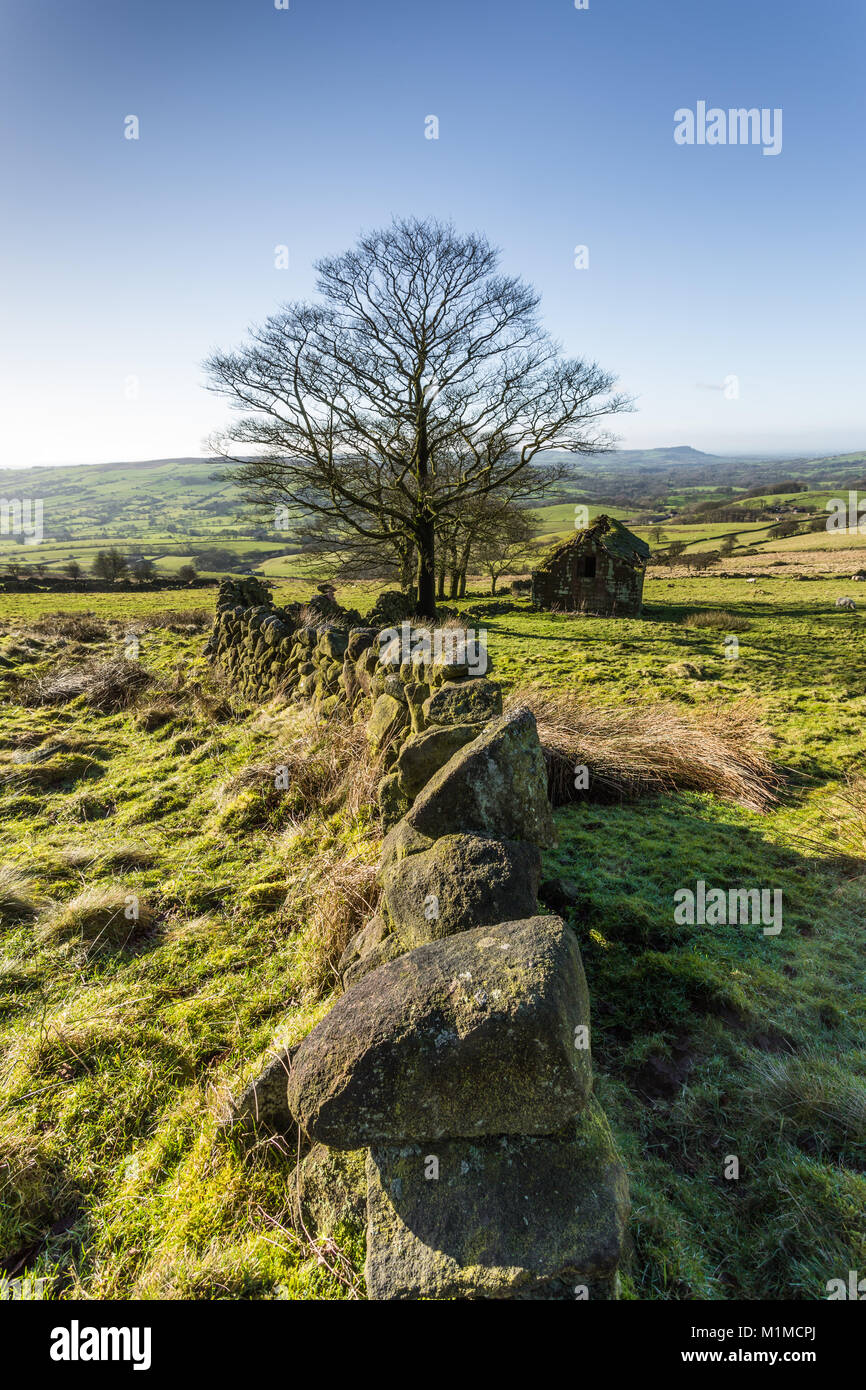 A winter morning in January at the stone wall leading to the old barn at Roach End. Stock Photo