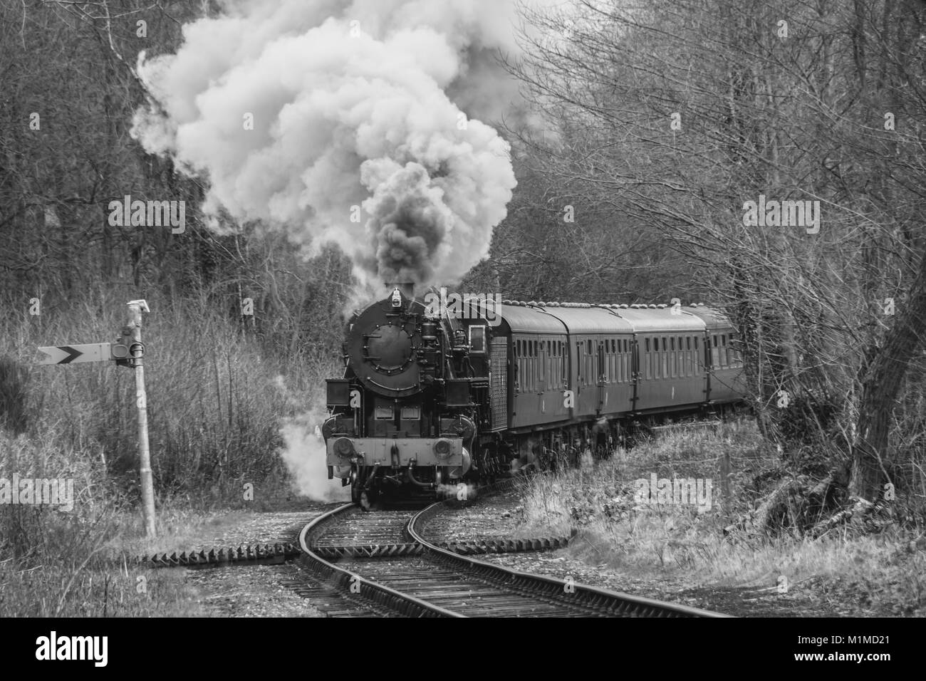 Mascot icon illustration of a vintage steam locomotive or train speeding in  full speed coming up the viewer on isolated background in retro style Stock  Vector Image & Art - Alamy