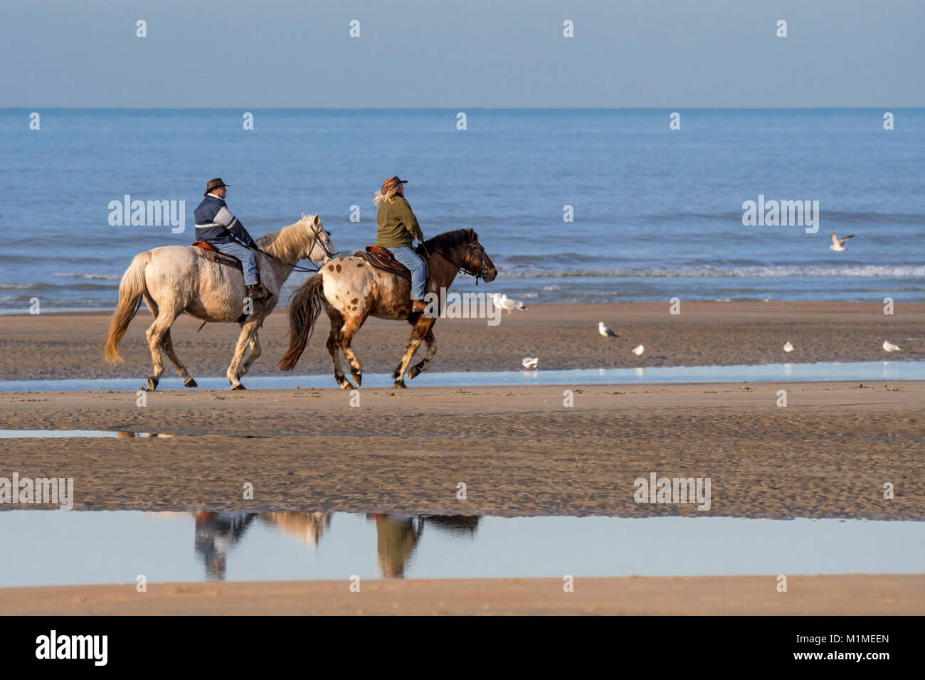 Elderly couple riding horseback on sandy beach along the North Sea coast on a cold day in winter Stock Photo