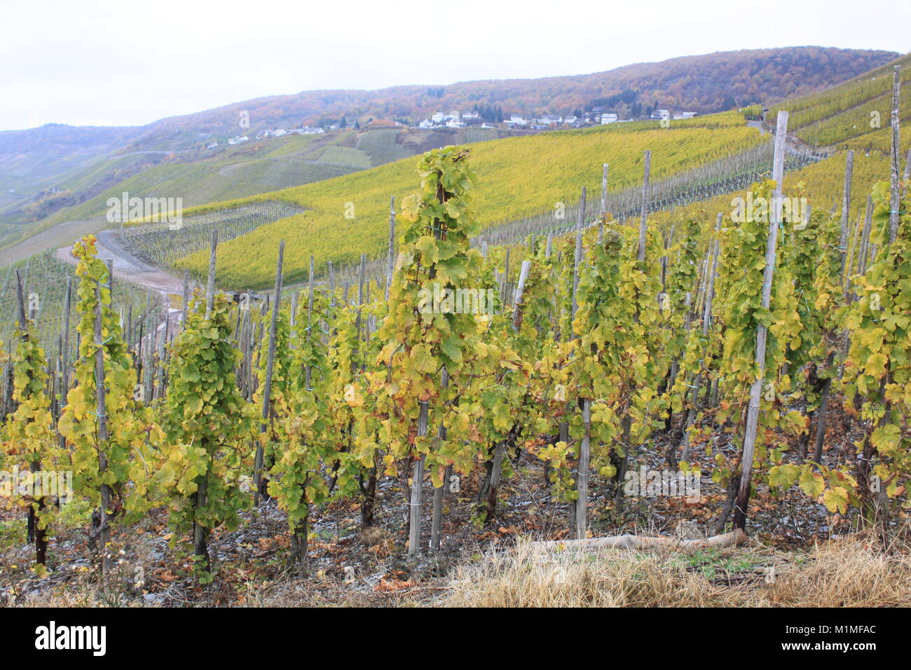 Alluvial soils hires stock photography and images Alamy