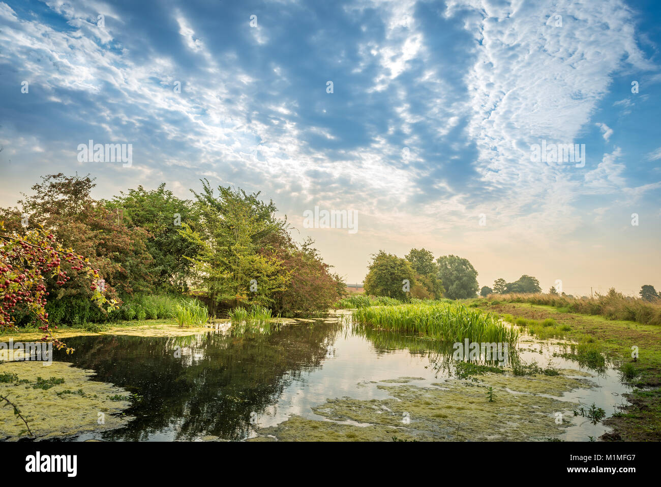 The wetlands and lowlands of the Lincolnshire Fens during an early Autumn morning near Kate's Bridge, Thurlby, South Lincolnshire, UK Stock Photo
