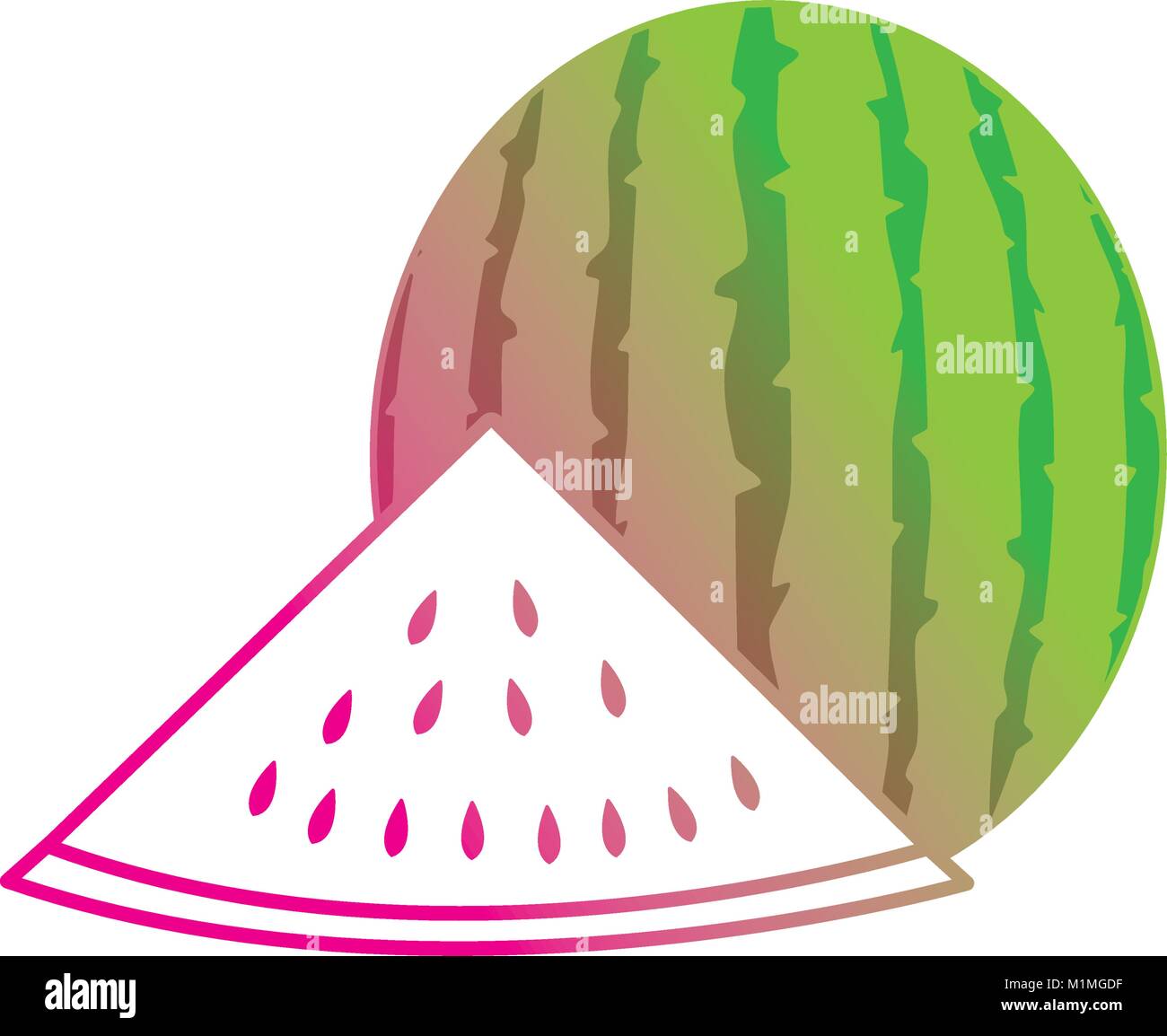 Isolated watermelon design Stock Vector Image & Art - Alamy