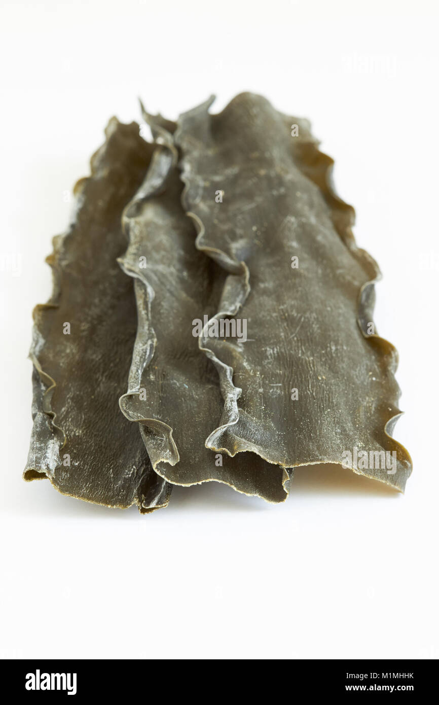 Dried kombu seaweed (Laminariaceae longissima) isolated on white