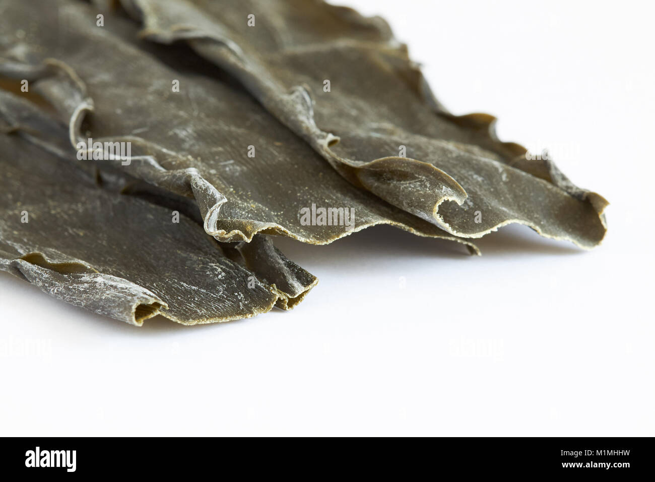 Dried kombu seaweed (Laminariaceae longissima) isolated on white background Stock Photo Alamy