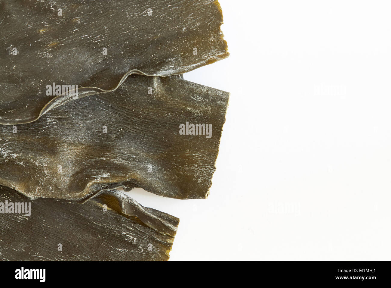 Dried kombu seaweed (Laminariaceae longissima) isolated on white