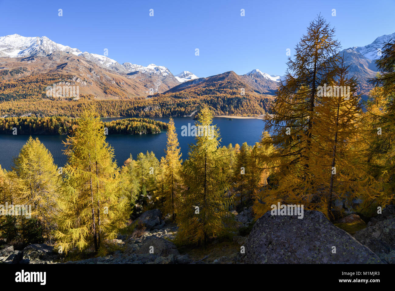 Lake Sils in autumn, Engadine Valley, Graubunden,  Switzerland Stock Photo