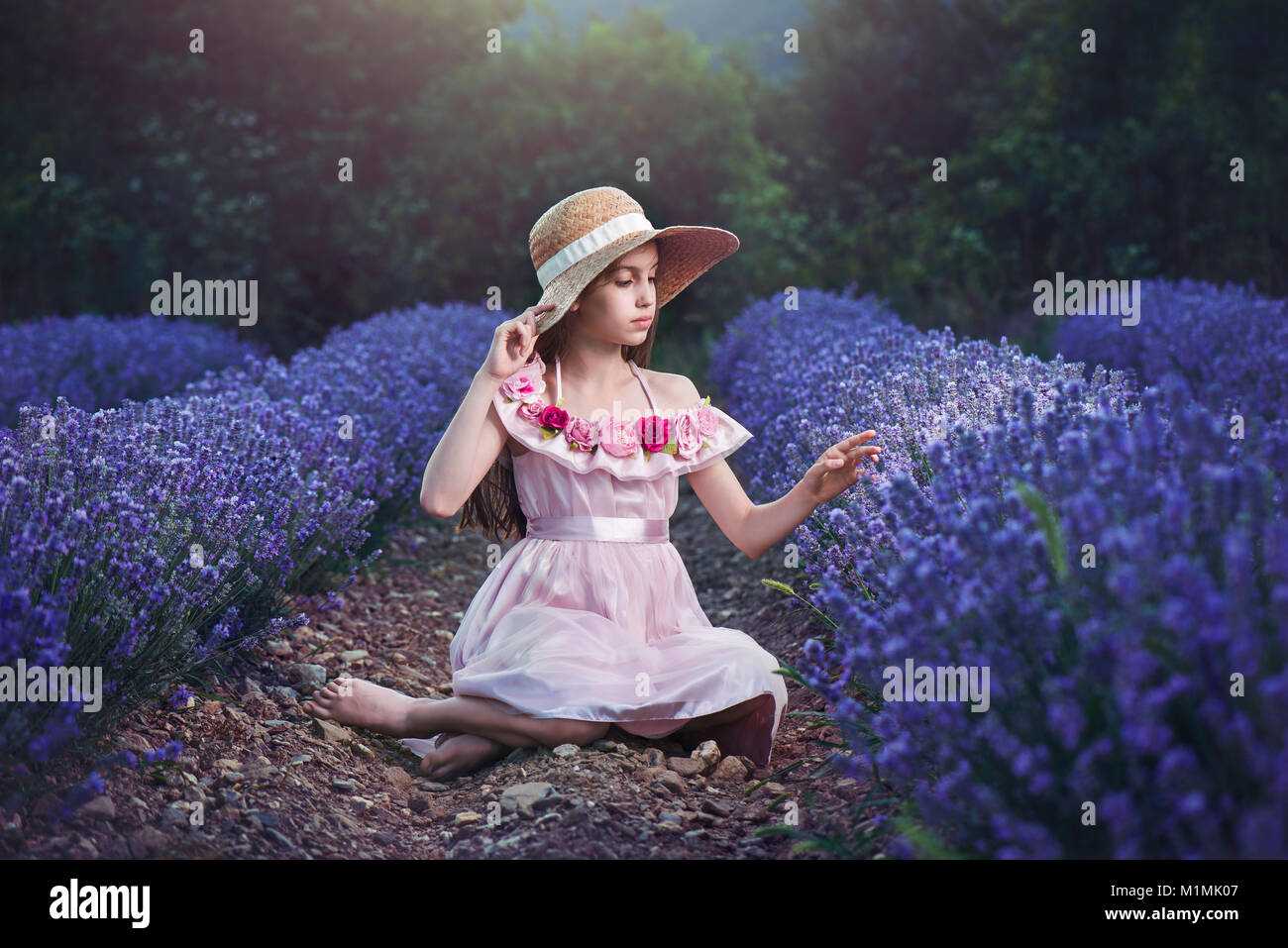 Girl wearing a straw hat sitting in a lavender field Stock Photo - Alamy