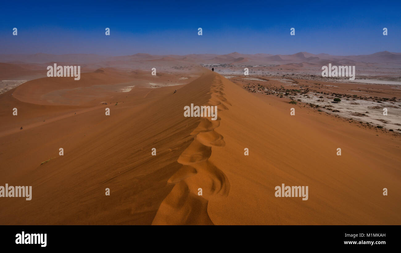 Man walking along ridge of a sand dune, Deadvlei near Sossusvlei, Namib ...