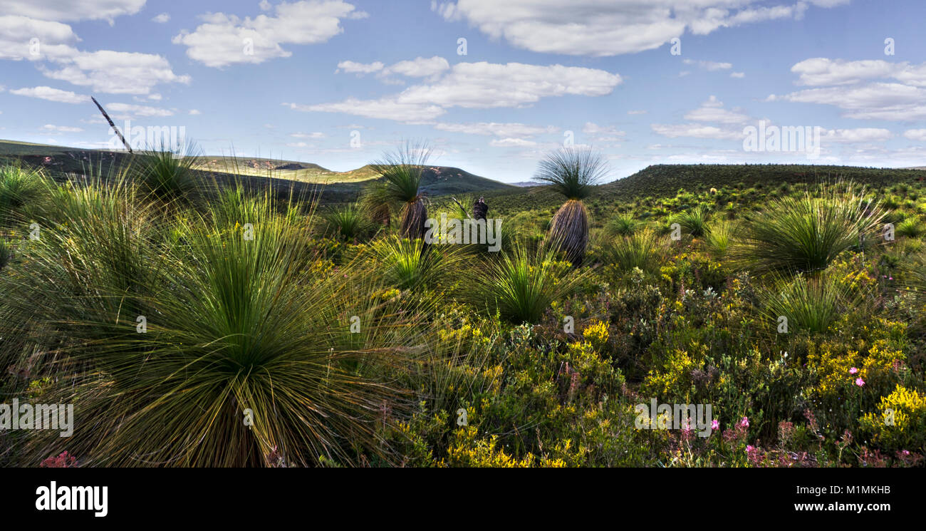 Lesueur National Park, near Jurien Bay, Western Australia, Australia Stock Photo