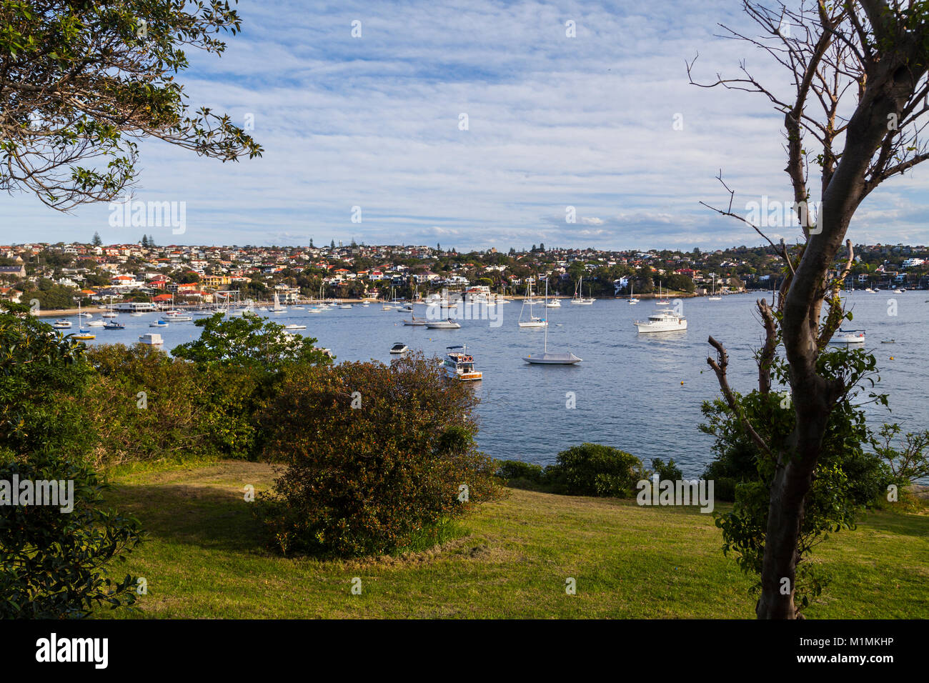 City suburb, Sydney, New South Wales, Australia Stock Photo