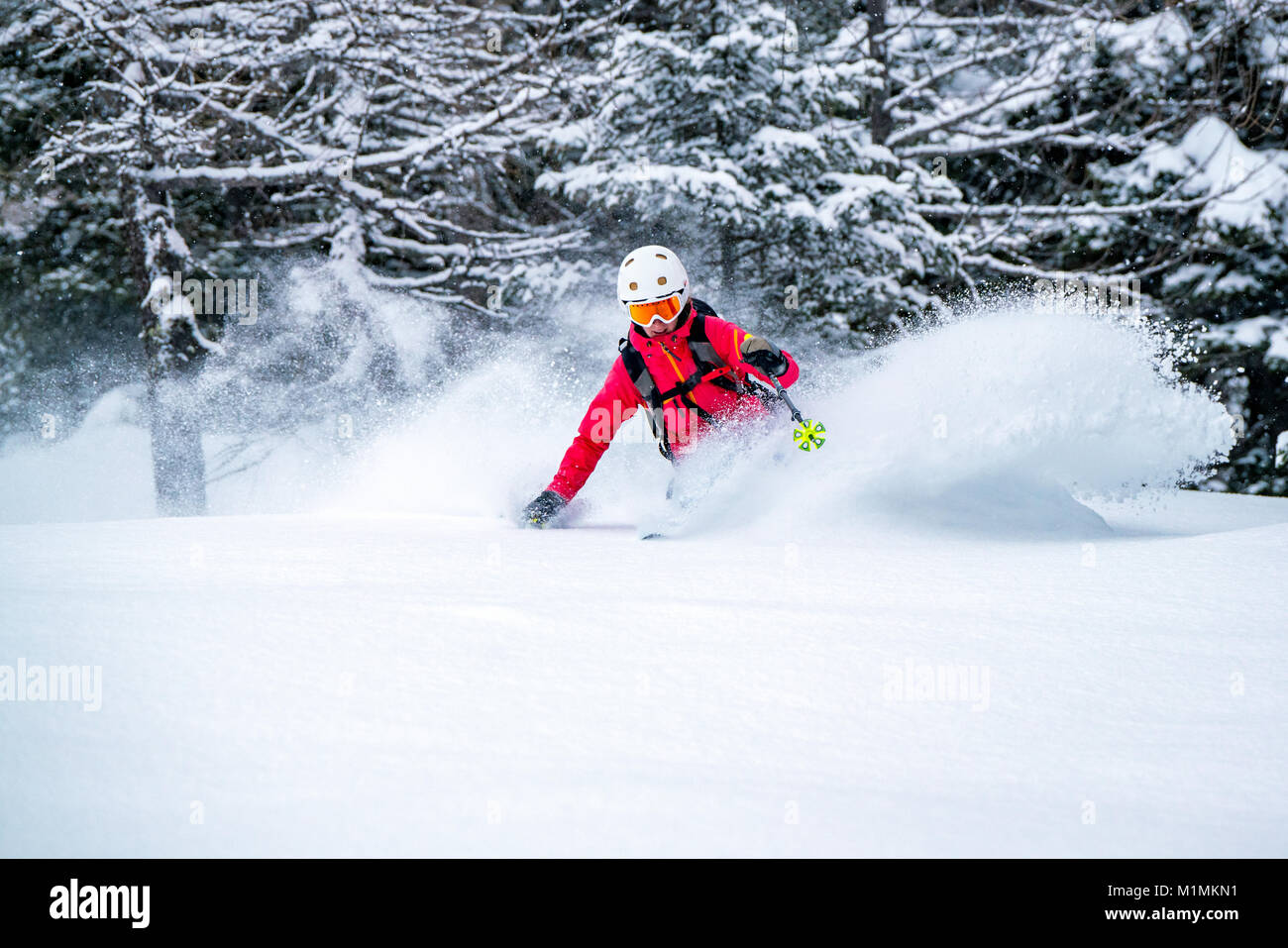 Woman Powder Skiing in the Alps,Sportgastein,Salzburg,Austria Stock Photo