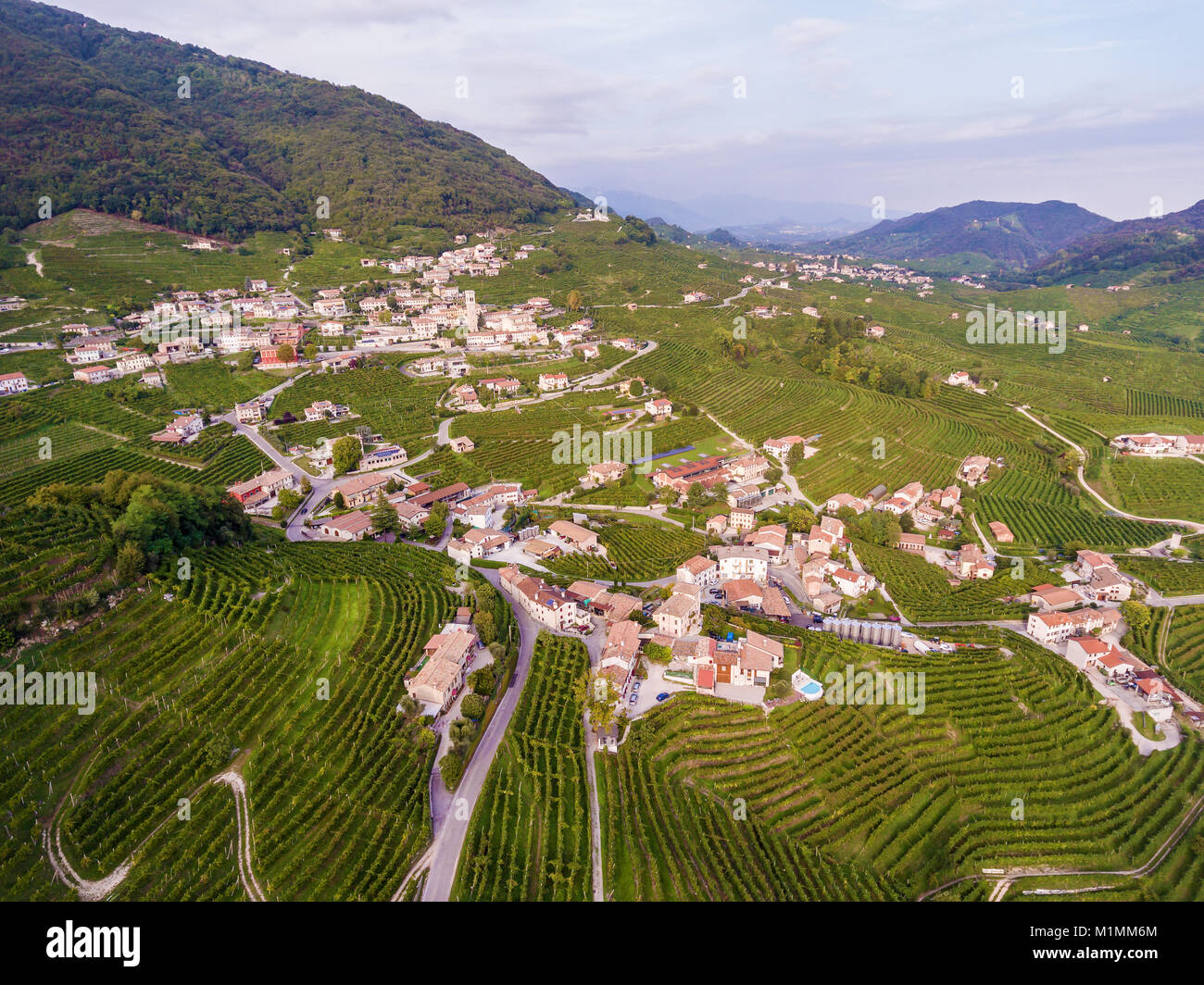 The Italian village from the heights of a bird's flight is seated with grapes. Italian village from above. Stock Photo