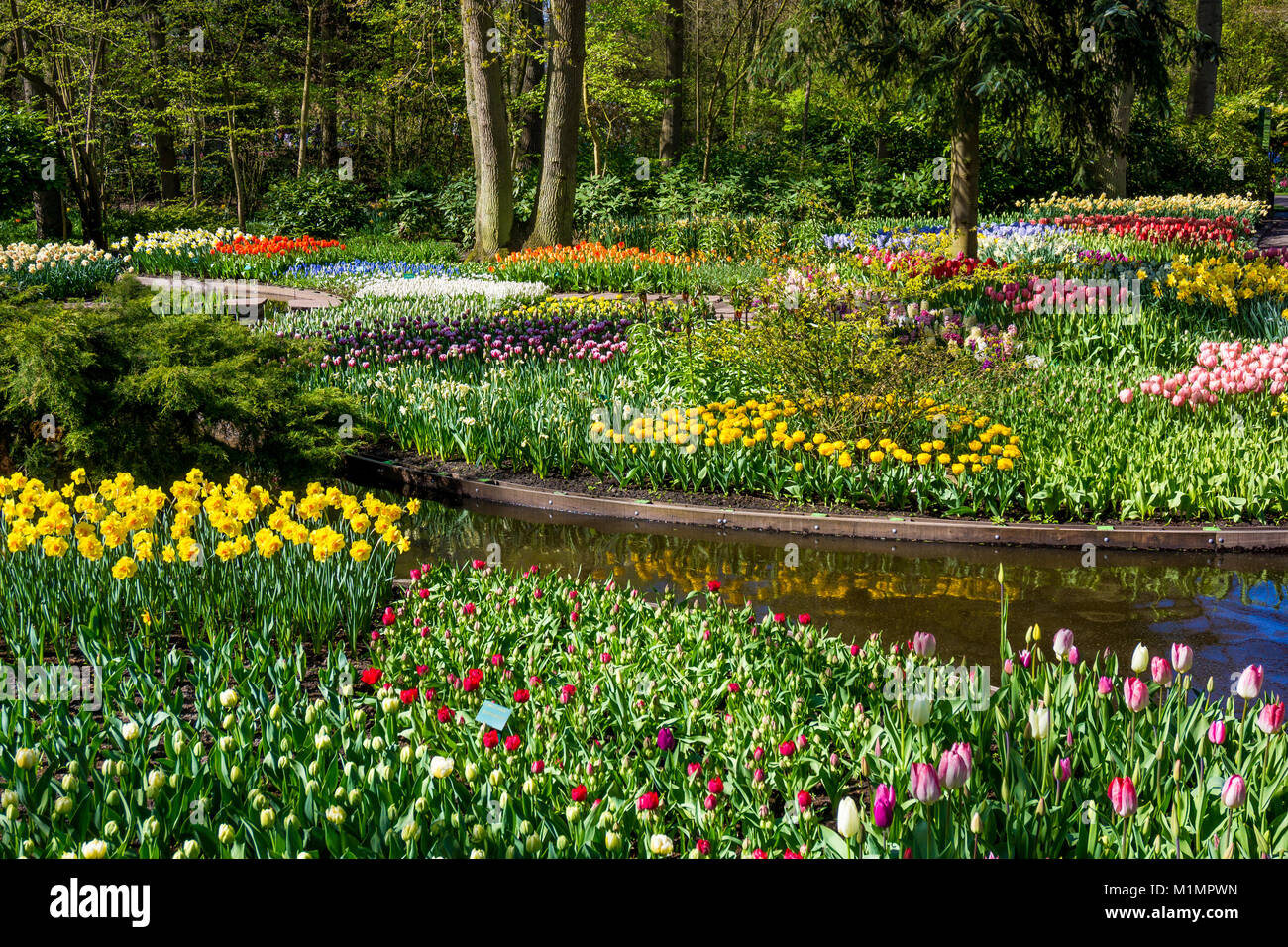 Keukenhof park in Netherlands Stock Photo - Alamy