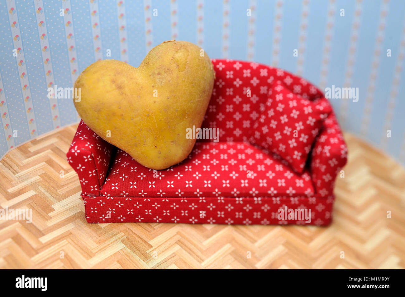 Icon image couch potato, Symbolbild Couch-Potato Stock Photo