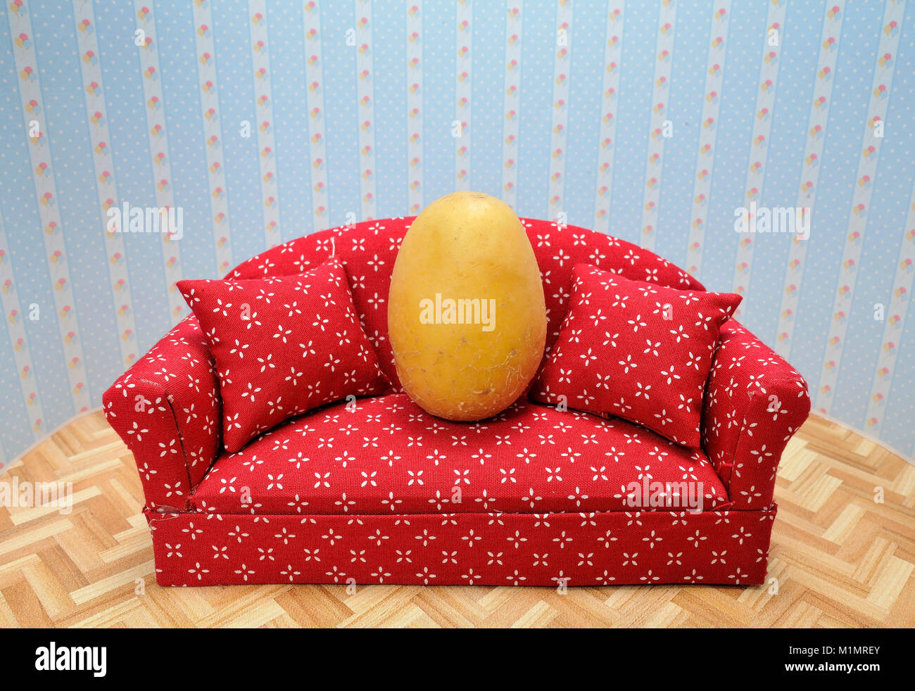 Icon image couch potato, Symbolbild CouchPotato Stock Photo Alamy