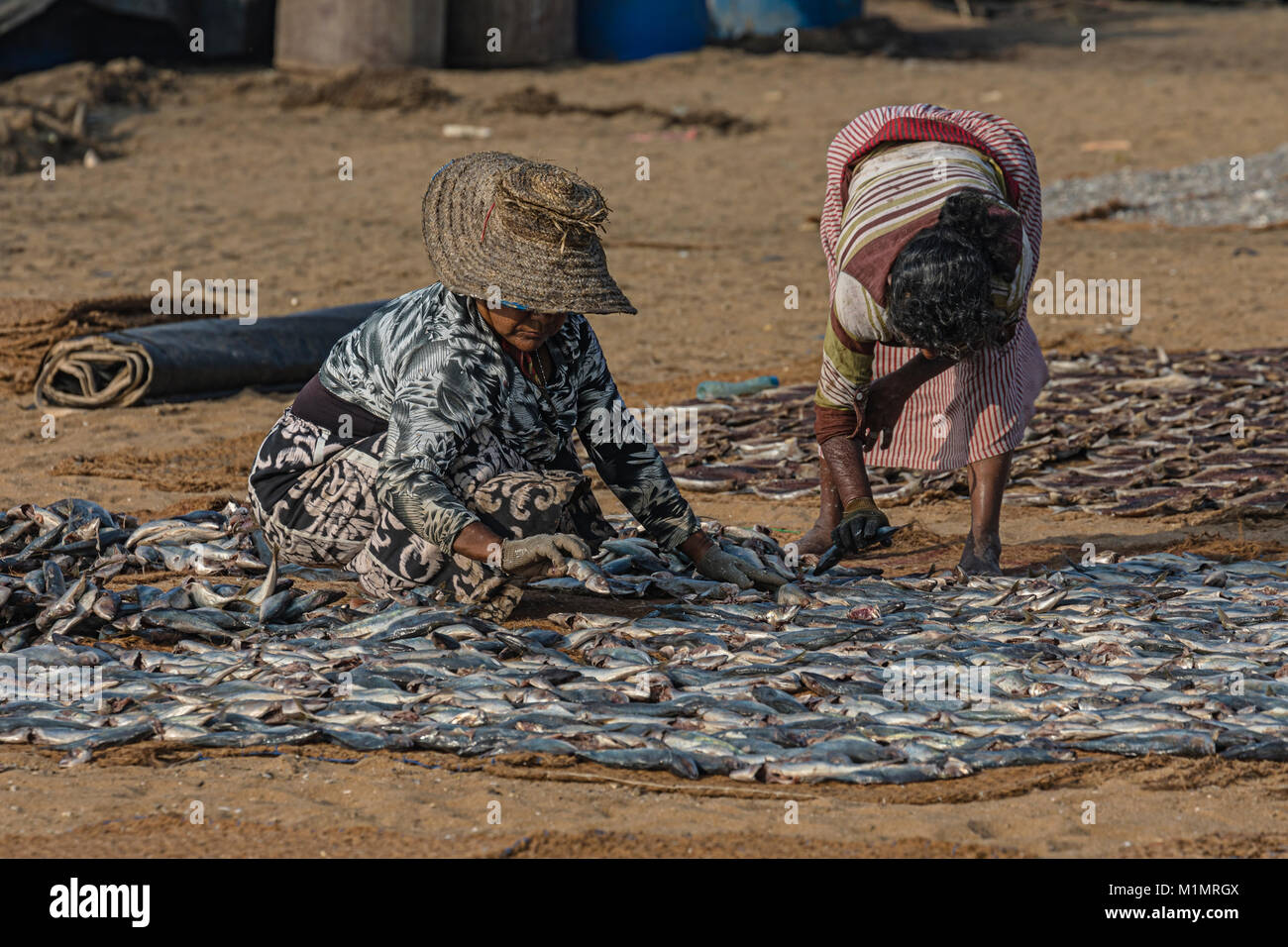 local life in working harbour in Negombo, Colombo, Western Province, Sri Lanka, Asia Stock Photo
