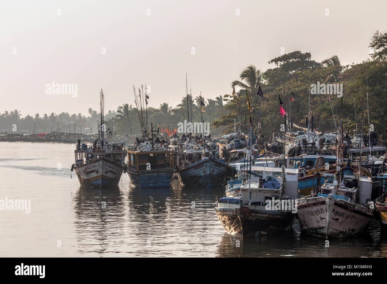 Negombo Lagoon, Dutch Canal, Negombo, Colombo, Western Province, Sri Lanka, Asia Stock Photo