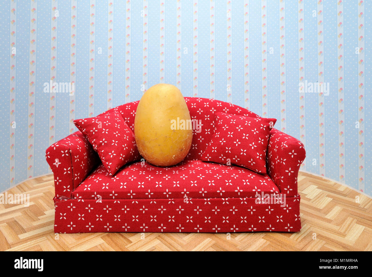 Couch Potato Stock Photos Couch Potato Stock Images Page 2 Alamy